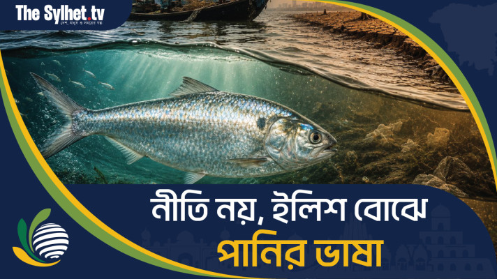 নীতি নয়, ইলিশ বোঝে পানির ভাষা : জলবায়ু পরিবর্তনে টিকবে তো ইলিশ