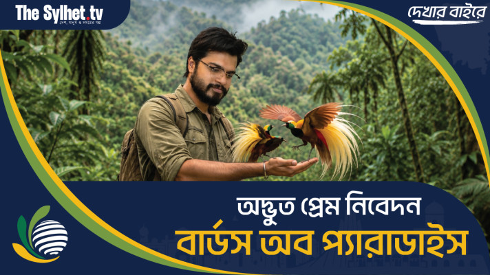 অদ্ভুত প্রেম নিবেদন : বার্ডস অব প্যারাডাইস