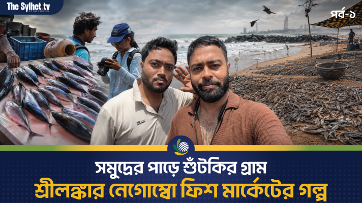 সমুদ্রের পাড়ে শুঁটকির গ্রাম : শ্রীলঙ্কার নেগোম্বো ফিশ মার্কেটের গল্প